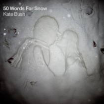 Okładka '50 WORDS FOR SNOW'... 