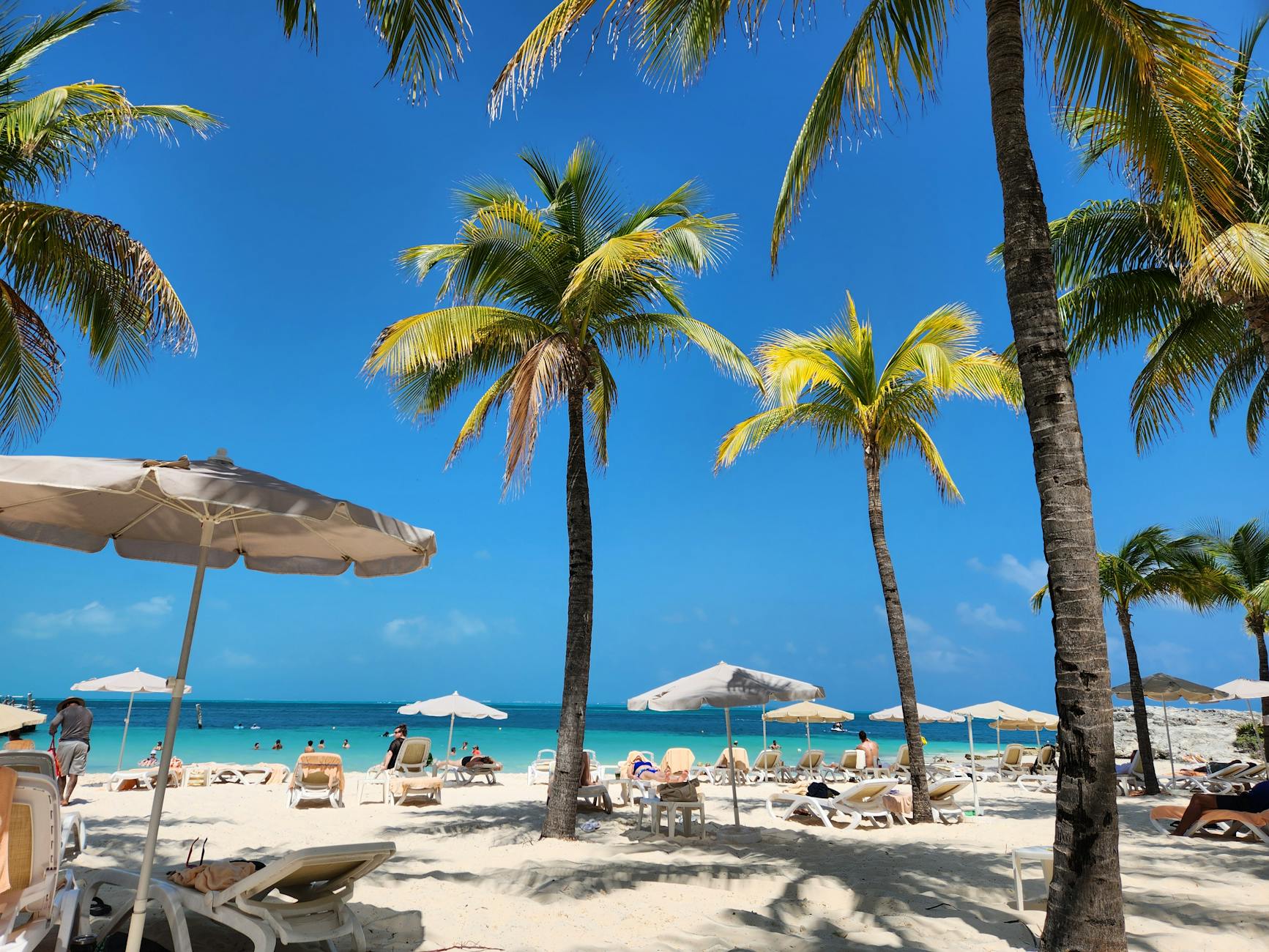Tropikalna plaża w Meksyku z palmami i leżakami nad turkusowym morzem